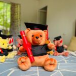 50cm Aurther Graduation Teddy Bear light brown and dark brown premium plush gift Sri Lanka
