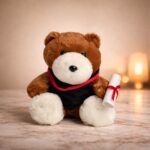 Elegant Graduation Teddy Bear with scroll premium soft plush gift Sri Lanka